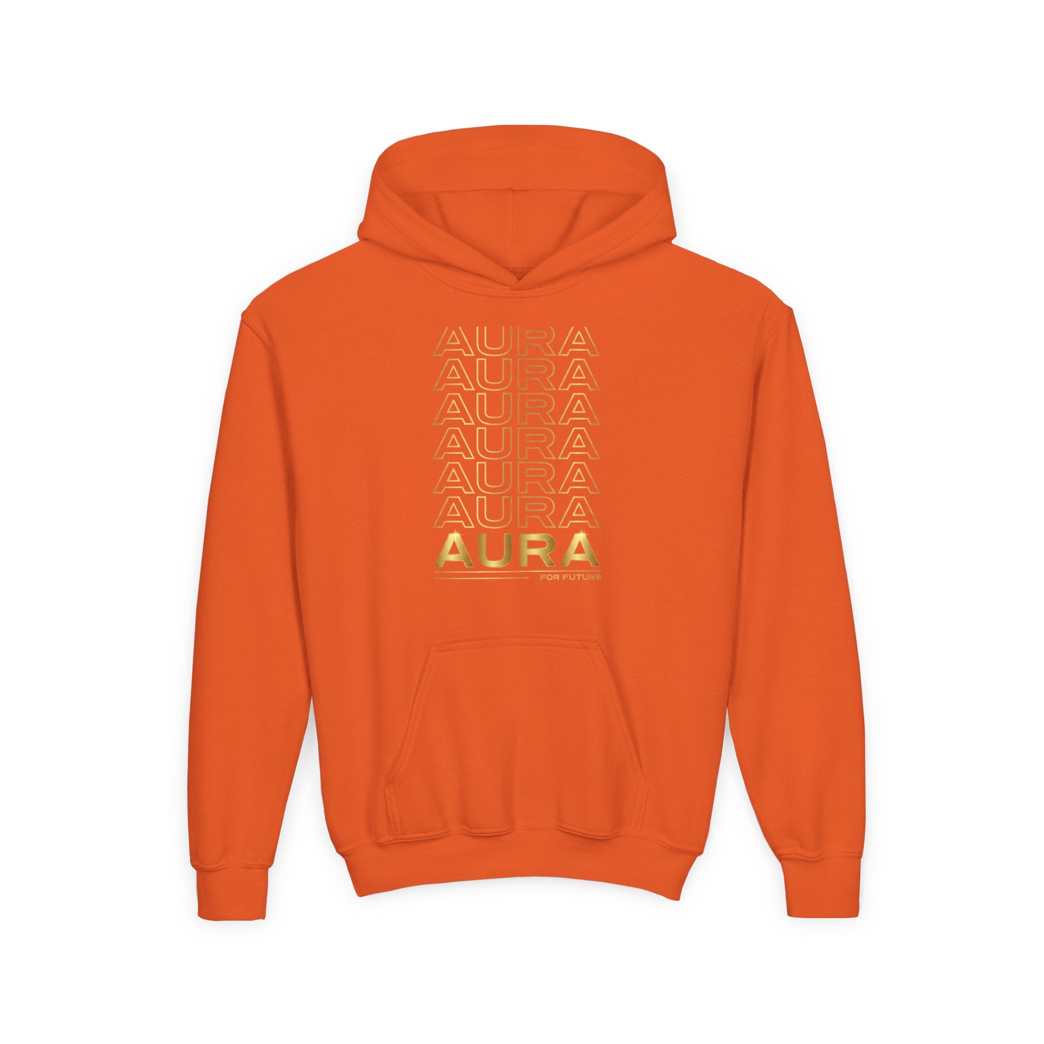 Aura Hoodie