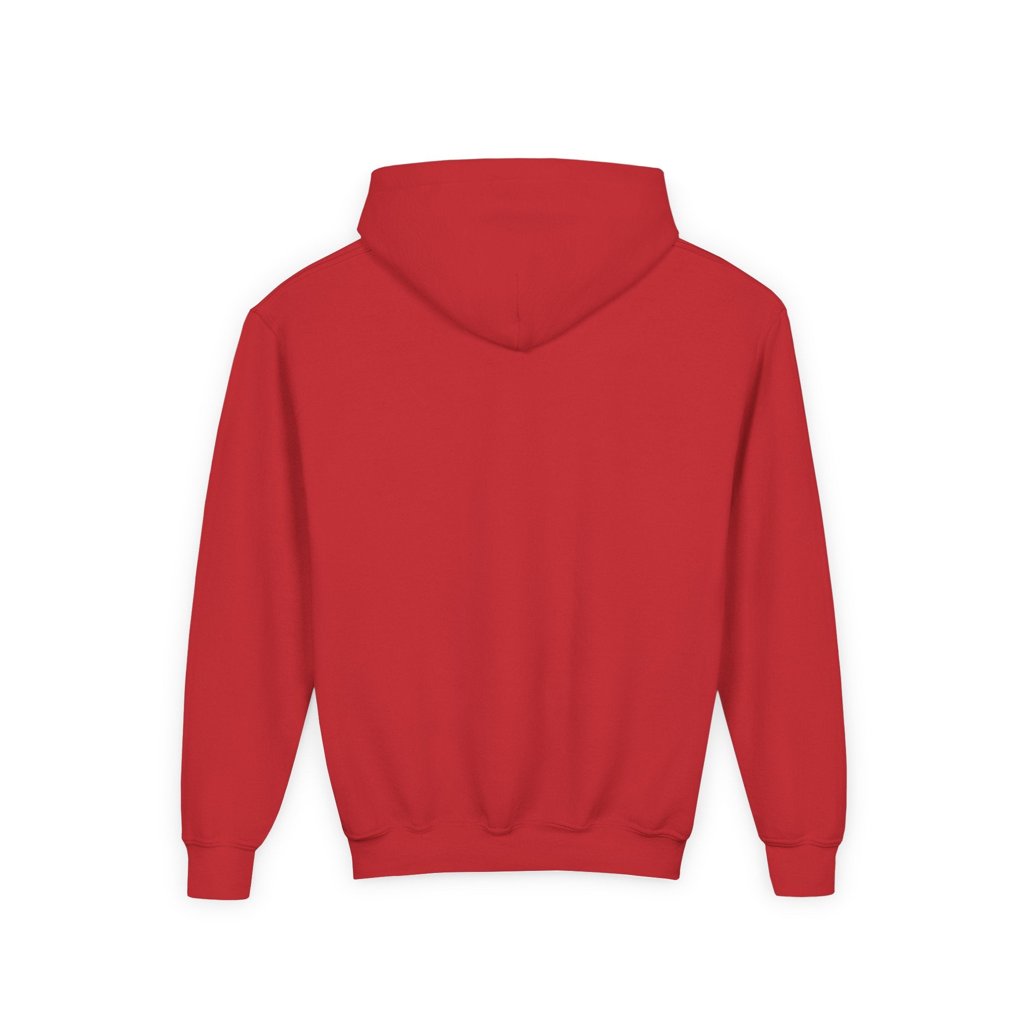 Youth Hoodie — Raptor Dino Design