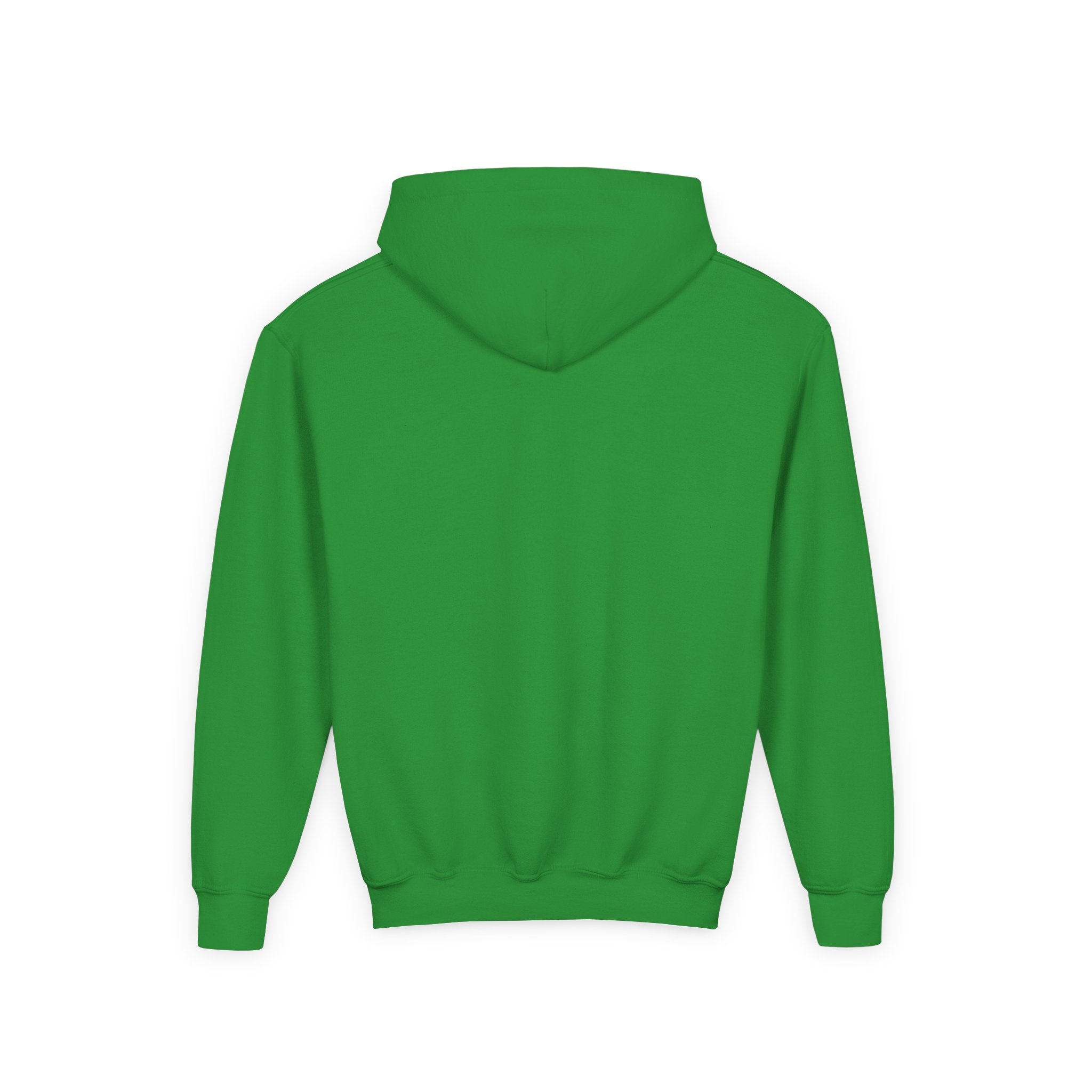Youth Hoodie — Raptor Dino Design