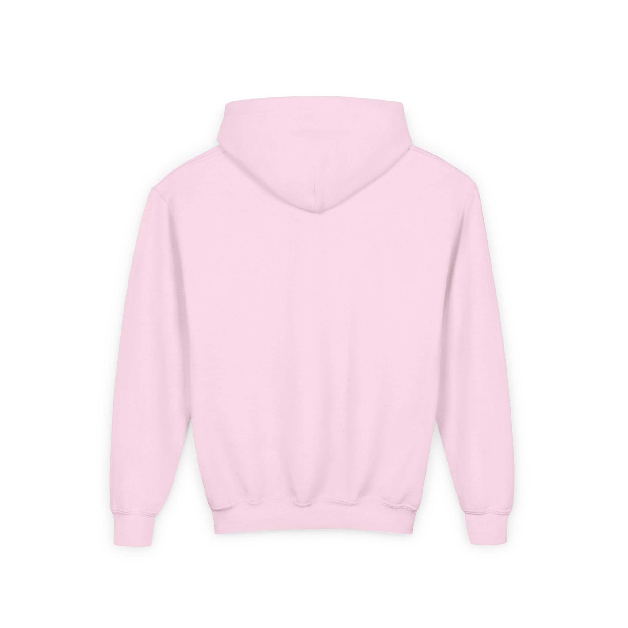 Youth Hoodie — Raptor Dino Design